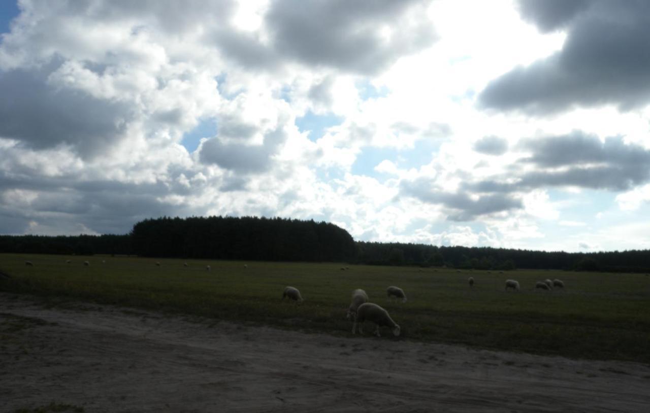Chatki U Patki Lebieniec Exterior photo