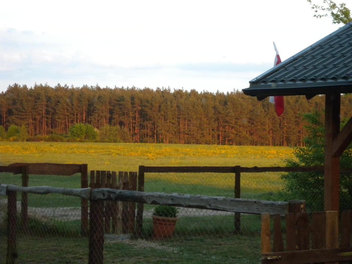 Chatki U Patki Lebieniec Exterior photo